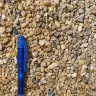 Golden Pea Gravel thumbnail 6