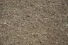 C33 Sand thumbnail 1