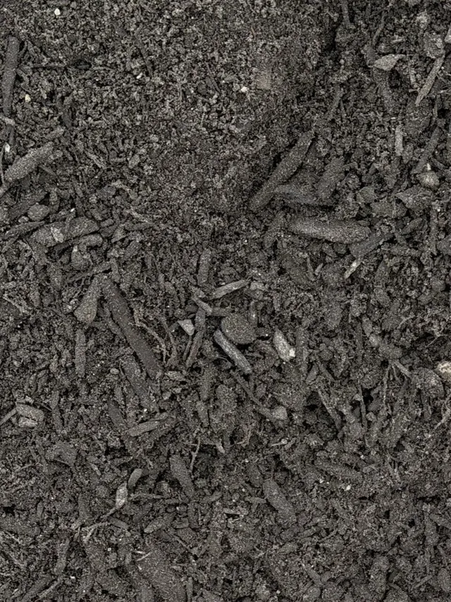 Premium Soil Mix