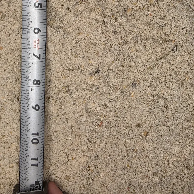 Concrete Sand — photo 4