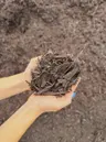 Saddle Brown Mulch thumbnail 2