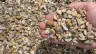 Multicolor Pea Gravel thumbnail 4