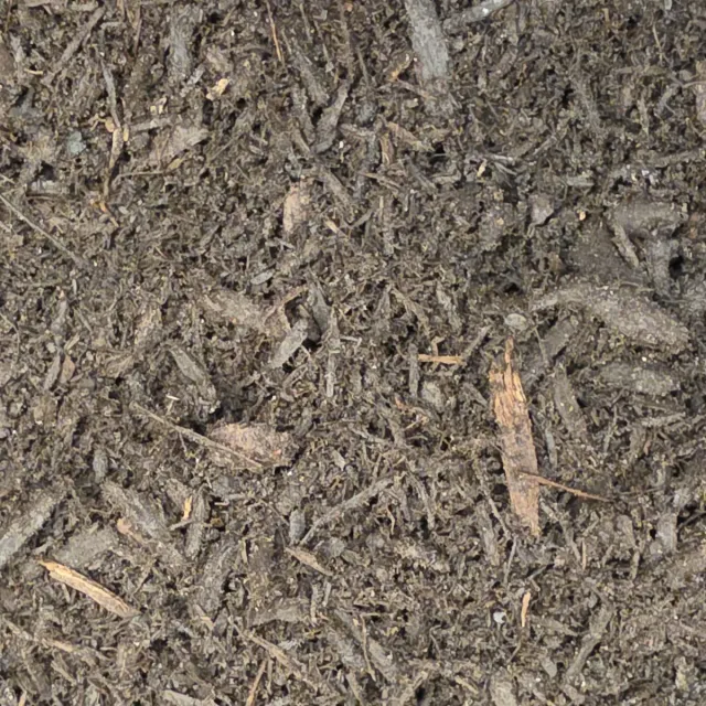 Compost Soil