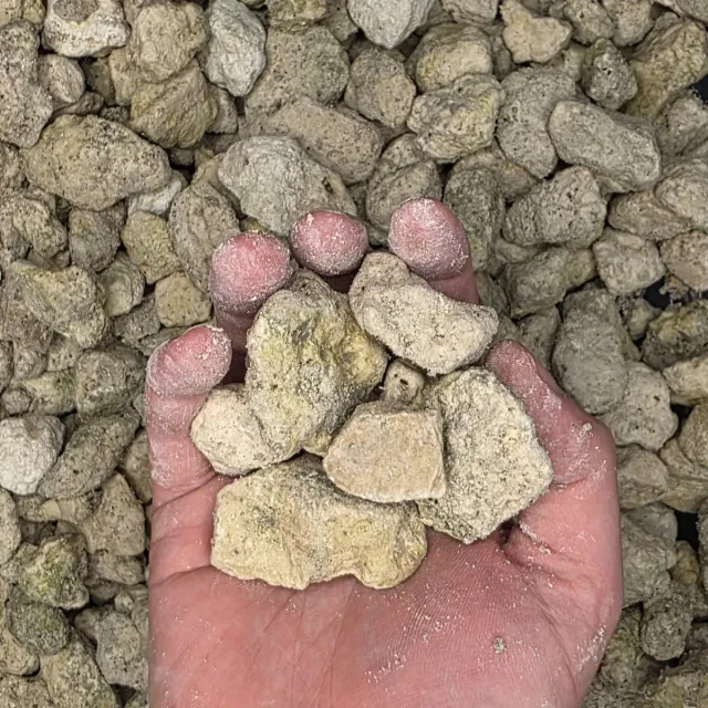 #467 Limestone — photo 3