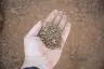 Table Mesa 3/8" thumbnail 2
