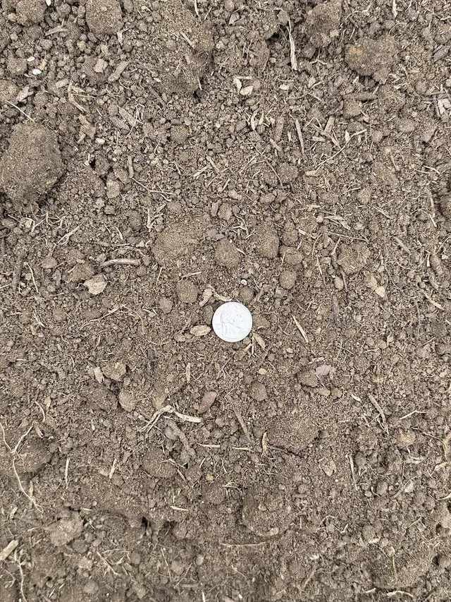 Common Fill — photo 2