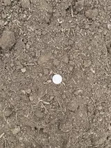 Common Fill thumbnail 2