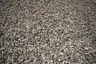1 1/2" Washed Stone thumbnail 2