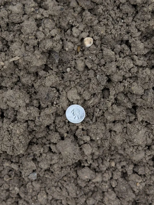 Top Soil Screened — photo 2