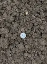 Top Soil Screened thumbnail 2
