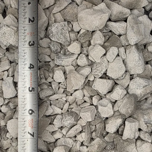 #57 Limestone — photo 4