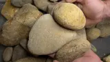 Tennessee River Slicks thumbnail 4