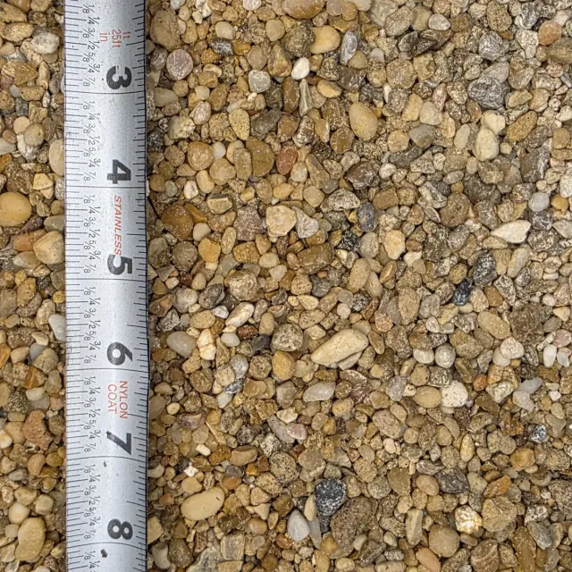 Golden Pea Gravel — photo 4