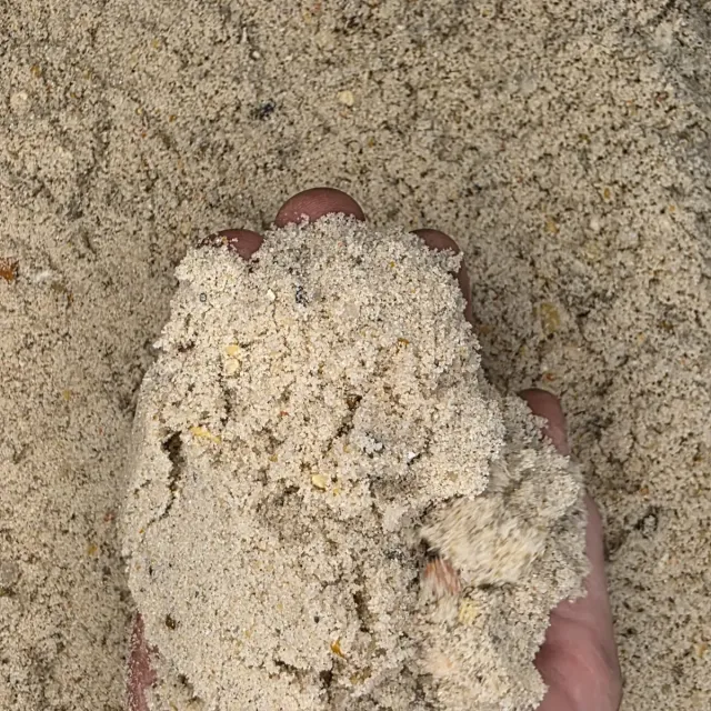 Concrete Sand — photo 3