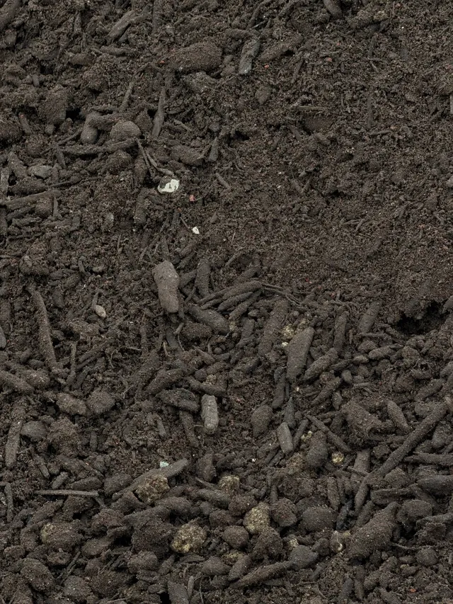 Enriched Organic Compost