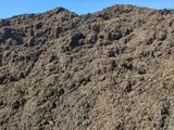 Shredded Black Mulch