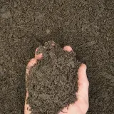 Garden Soil thumbnail 4