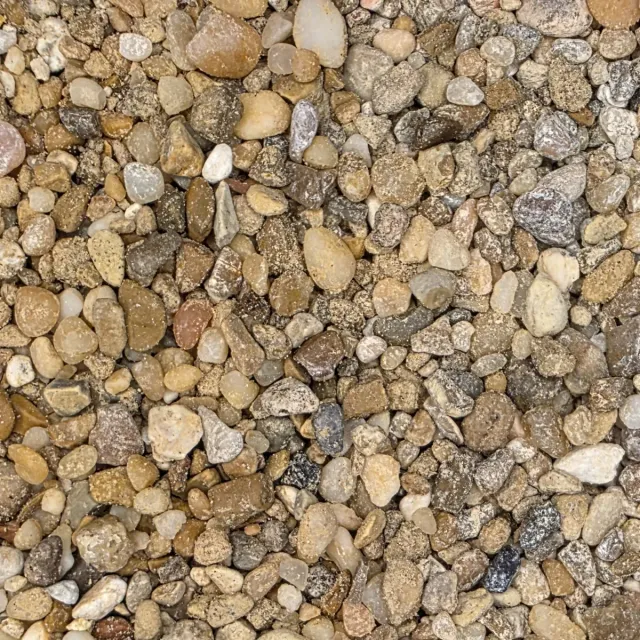 Golden Pea Gravel