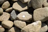 Natural Round River Stone (3"–6") thumbnail 1