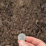 50/50 Blended Soil thumbnail 3