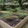 Lawn & Garden Soil thumbnail 1