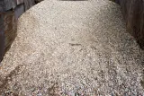#57 River Gravel thumbnail 4