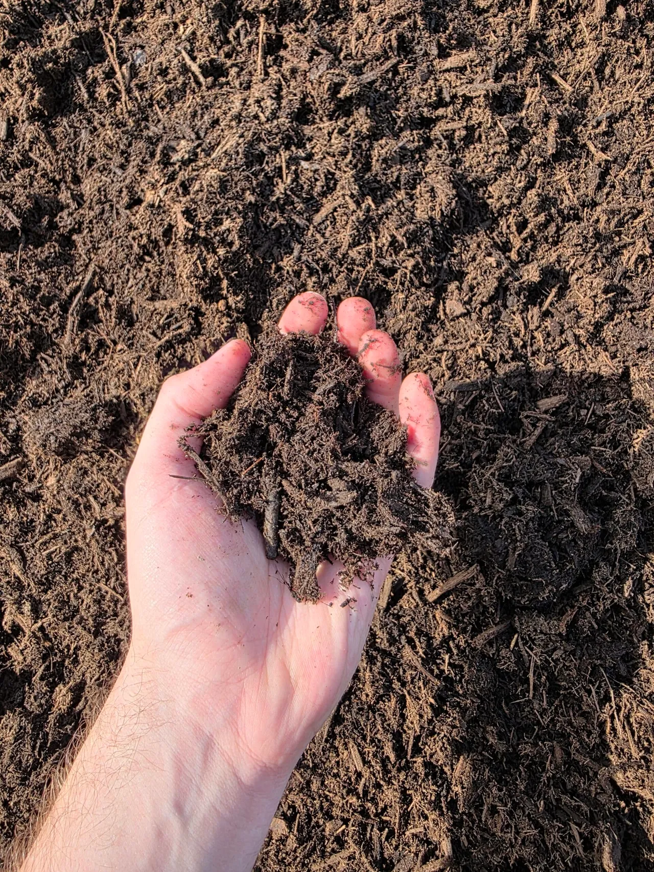 Compost Soil