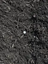 Shredded Black Mulch thumbnail 2
