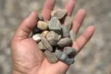 3/4" Natural Round River Stone thumbnail 3
