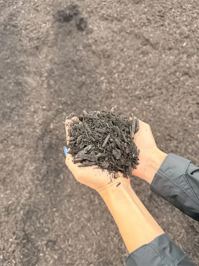 Enriched Organic Compost — photo 3