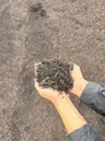 Enriched Organic Compost thumbnail 3