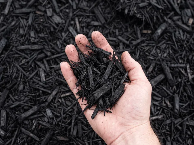 Shredded Black Mulch