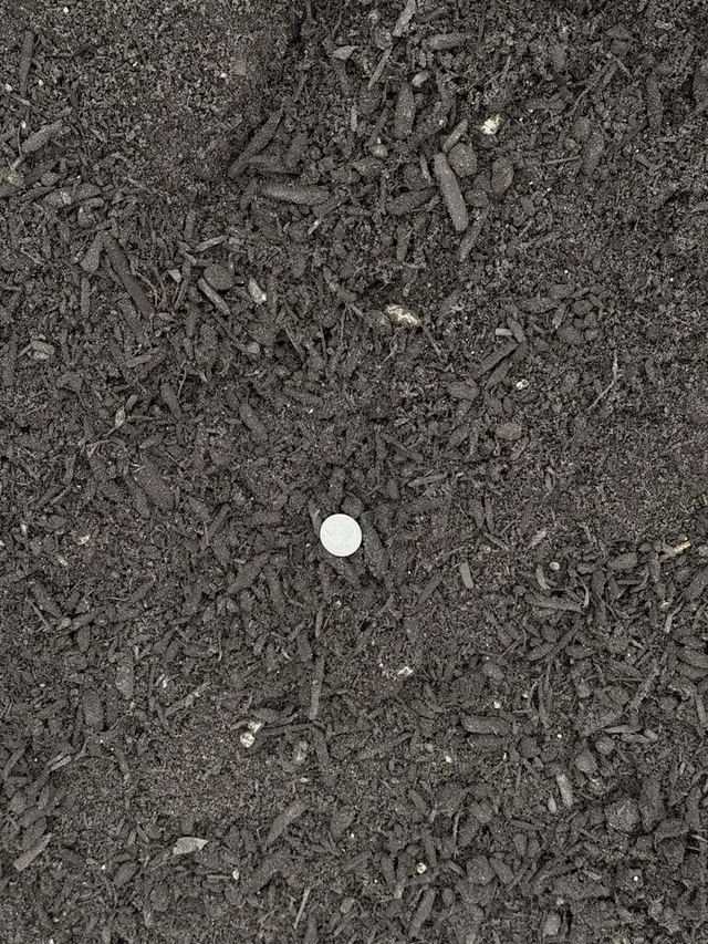 Premium Soil Mix — photo 2