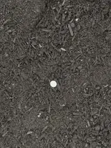 Premium Soil Mix thumbnail 2