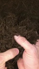 Chocolate Hardwood Mulch thumbnail 2