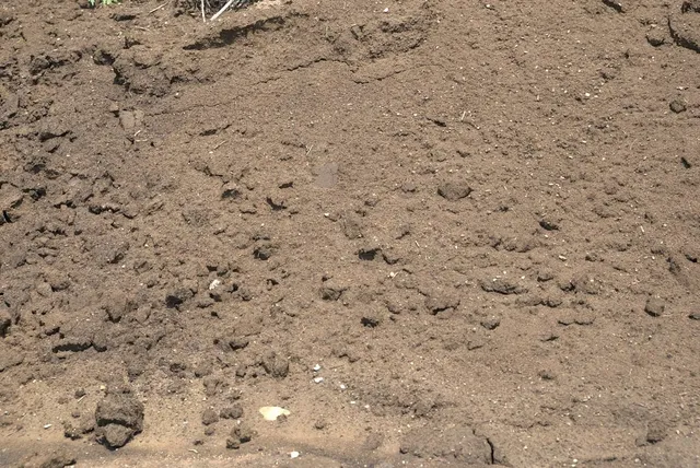 Screened Loam — photo 2