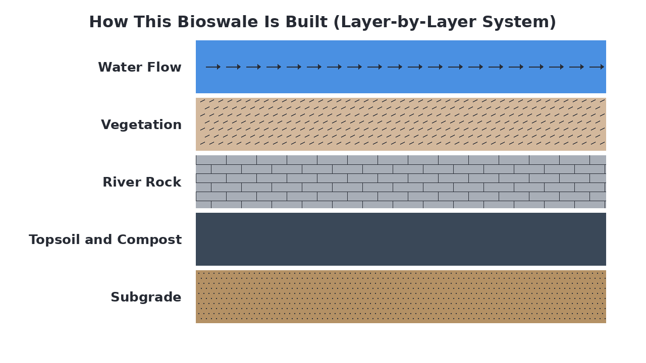 How This Bioswale Is Built (Layer-by-Layer System) diagram